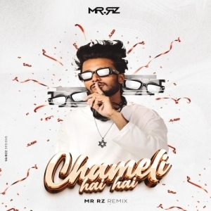 CHAMELI HAI HAI - MR RZ REMIX.mp3