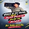 Voice Of My Head Crowd Control (Extended Vibe) Dj Sonu Official
