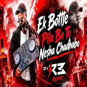 Ek Bottle Pila Bo To (Remix) DJ R3 RMX.mp3